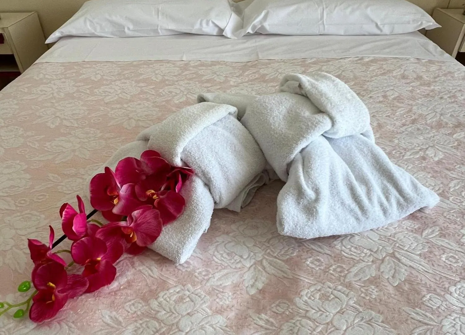 Due Gemelle Hotel Rimini